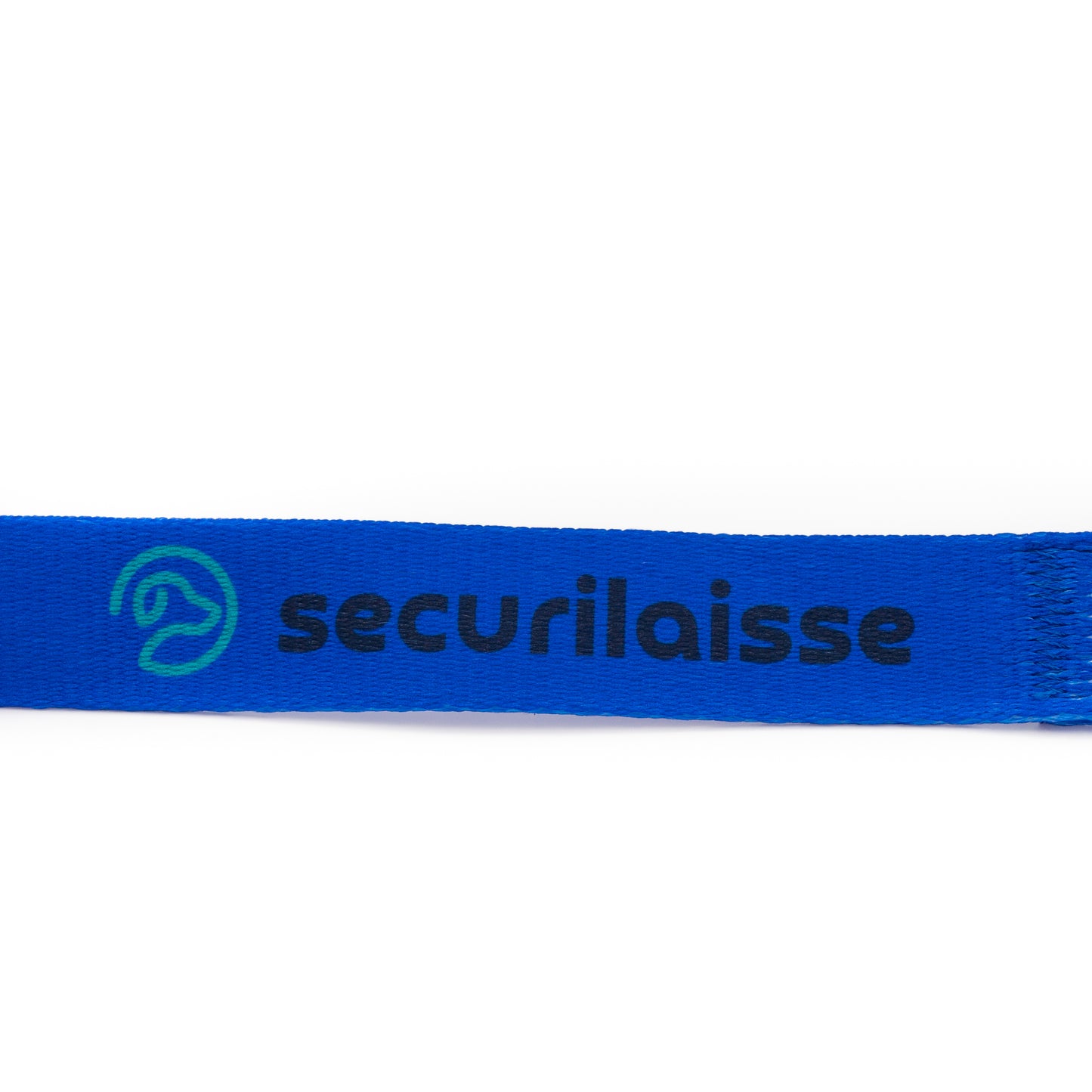 Bleu DRESSAGE laisse pour chien 1.65m